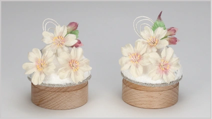 夜空のらんたんの花あかり